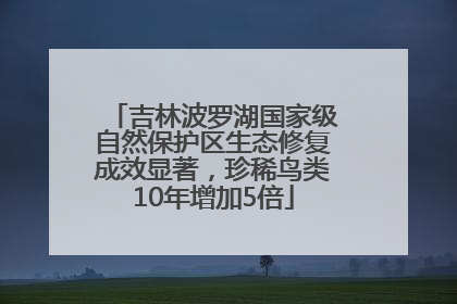吉林波罗湖国家级自然保护区生态修复成效显著，珍稀鸟类10年增加5倍