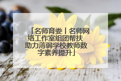 名师育娄丨名师网络工作室组团帮扶 助力薄弱学校教师数字素养提升