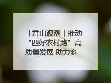 君山观潮｜推动“四好农村路”高质量发展 助力乡村振兴出新彩