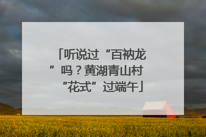 听说过“百衲龙”吗？黄湖青山村“花式”过端午