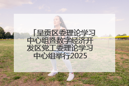 呈贡区委理论学习中心组暨数字经济开发区党工委理论学习中心组举行2025年第七次学习会议