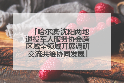 哈尔滨·沈阳两地退役军人服务协会跨区域全领域开展调研交流共绘协同发展