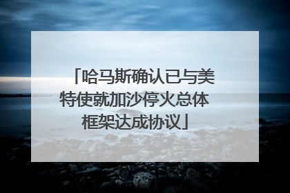 哈马斯确认已与美特使就加沙停火总体框架达成协议