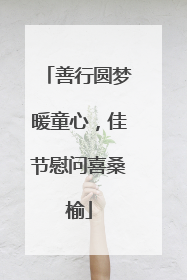 善行圆梦暖童心，佳节慰问喜桑榆