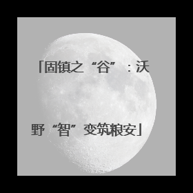 固镇之“谷”：沃野“智”变筑粮安