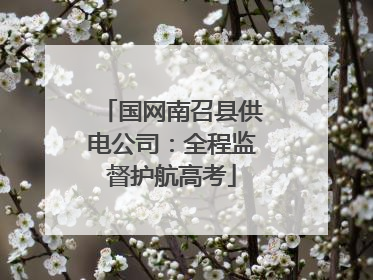 国网南召县供电公司：全程监督护航高考