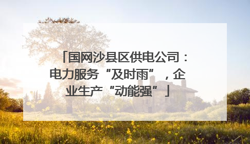 国网沙县区供电公司：电力服务“及时雨”，企业生产“动能强”