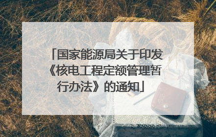 国家能源局关于印发《核电工程定额管理暂行办法》的通知
