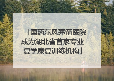 国药东风茅箭医院成为湖北省首家专业复学康复训练机构