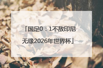 国足0：1不敌印尼 无缘2026年世界杯