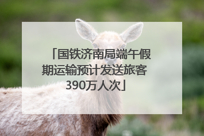 国铁济南局端午假期运输预计发送旅客390万人次
