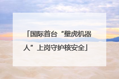 国际首台“壁虎机器人”上岗守护核安全