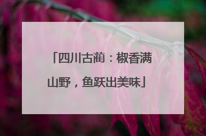 四川古蔺：椒香满山野，鱼跃出美味