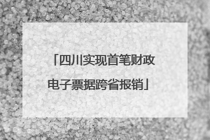 四川实现首笔财政电子票据跨省报销