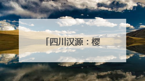 四川汉源：樱桃红 果农忙