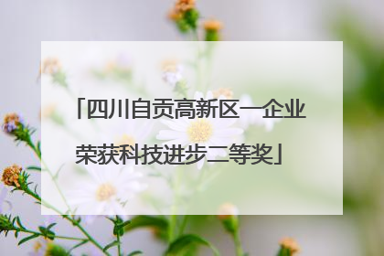 四川自贡高新区一企业荣获科技进步二等奖