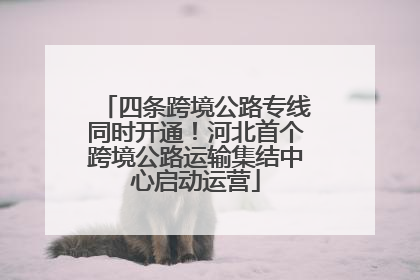四条跨境公路专线同时开通！河北首个跨境公路运输集结中心启动运营