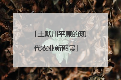 土默川平原的现代农业新图景