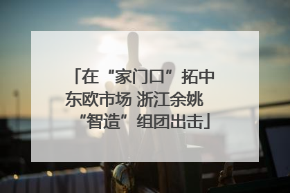 在“家门口”拓中东欧市场 浙江余姚“智造”组团出击