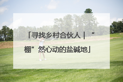 寻找乡村合伙人｜“棚”然心动的盐碱地