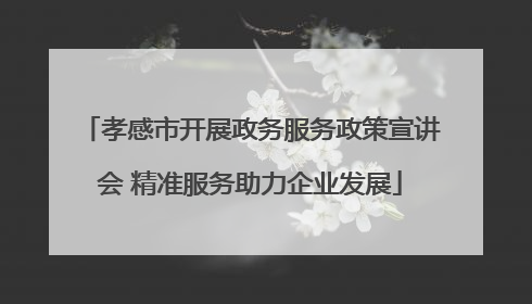 孝感市开展政务服务政策宣讲会 精准服务助力企业发展