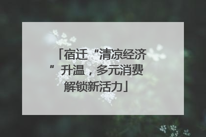 宿迁“清凉经济”升温，多元消费解锁新活力