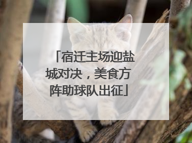 宿迁主场迎盐城对决，美食方阵助球队出征