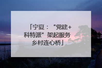 宁夏：“党建+科特派”架起服务乡村连心桥