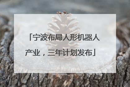 宁波布局人形机器人产业，三年计划发布