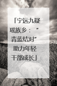 宁远九疑瑶族乡：“青蓝结对” 助力年轻干部成长