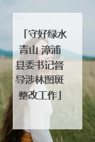 守好绿水青山 漳浦县委书记督导涉林图斑整改工作