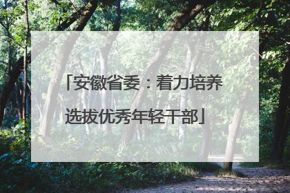 安徽省委：着力培养选拔优秀年轻干部