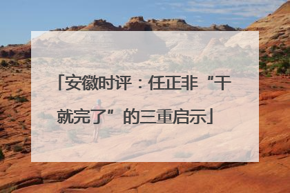 安徽时评：任正非“干就完了”的三重启示