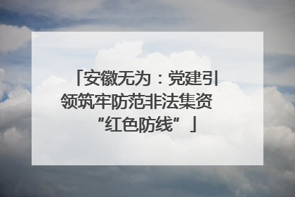 安徽无为：党建引领筑牢防范非法集资“红色防线”