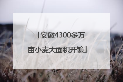 安徽4300多万亩小麦大面积开镰
