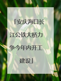安庆海口长江公铁大桥力争今年内开工建设