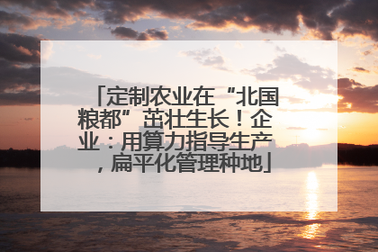 定制农业在“北国粮都”茁壮生长！企业：用算力指导生产，扁平化管理种地