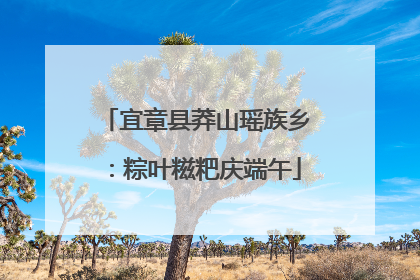 宜章县莽山瑶族乡：粽叶糍粑庆端午