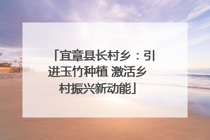 宜章县长村乡：引进玉竹种植 激活乡村振兴新动能