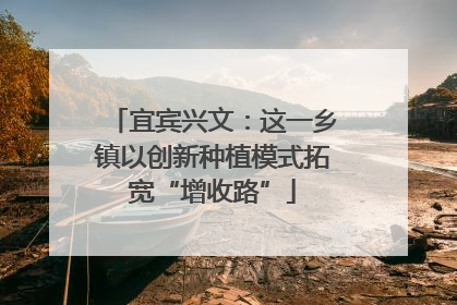 宜宾兴文：这一乡镇以创新种植模式拓宽“增收路”