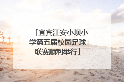 宜宾江安小坝小学第五届校园足球联赛顺利举行