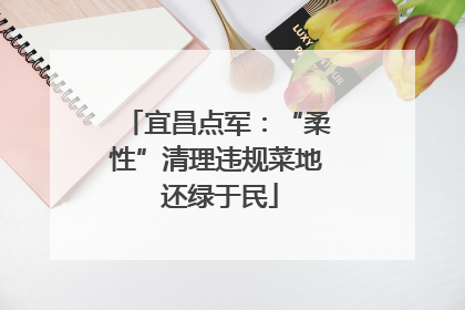 宜昌点军：“柔性”清理违规菜地 还绿于民