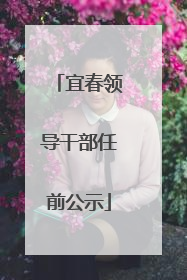 宜春领导干部任前公示