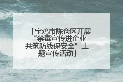 宝鸡市陈仓区开展“禁毒宣传进企业 共筑防线保安全”主题宣传活动