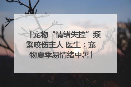 宠物“情绪失控”频繁咬伤主人 医生：宠物夏季易情绪中暑