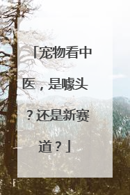 宠物看中医，是噱头？还是新赛道？