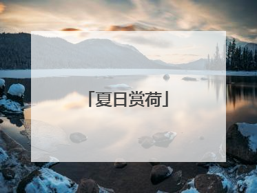 夏日赏荷