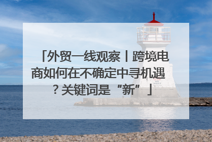 外贸一线观察丨跨境电商如何在不确定中寻机遇？关键词是“新”