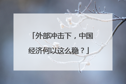 外部冲击下，中国经济何以这么稳？