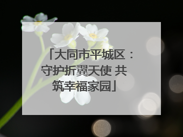 大同市平城区：守护折翼天使 共筑幸福家园